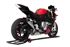 Immagine di TERMINALE EVOXTREME 260 TITANIO COPPA CARBON BMW S1000 R 2017-20