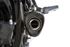 Immagine di TERMINALE EVOXTREME 260 TITANIO COPPA CARBON BMW S1000 XR 2015-19